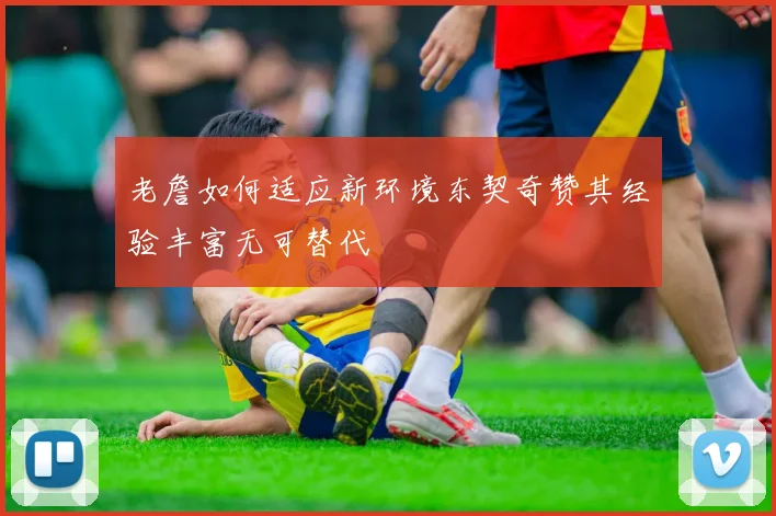 老詹如何适应新环境东契奇赞其经验丰富无可替代