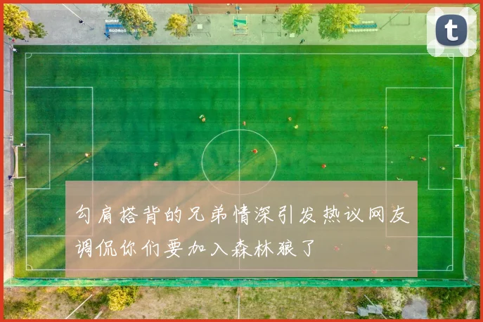 勾肩搭背的兄弟情深引发热议网友调侃你们要加入森林狼了