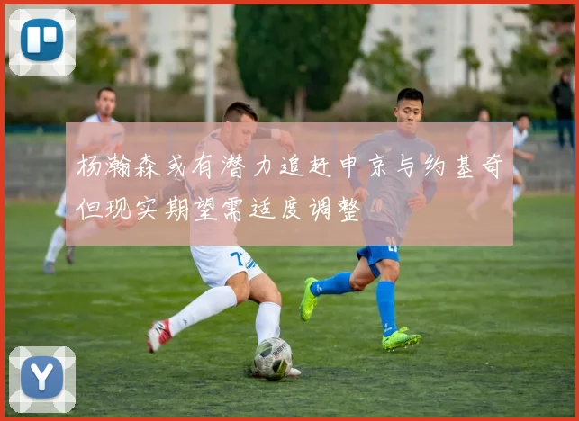 杨瀚森或有潜力追赶申京与约基奇但现实期望需适度调整