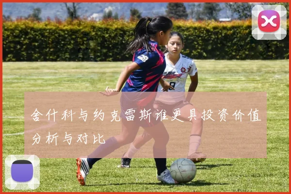 舍什科与约克雷斯谁更具投资价值分析与对比
