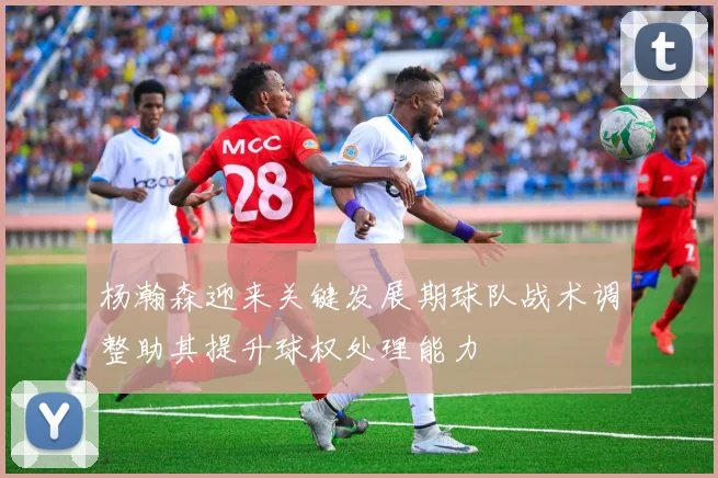 杨瀚森迎来关键发展期球队战术调整助其提升球权处理能力