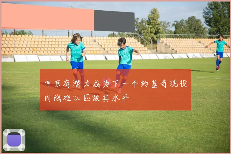 申京有潜力成为下一个约基奇现役内线难以匹敌其水平